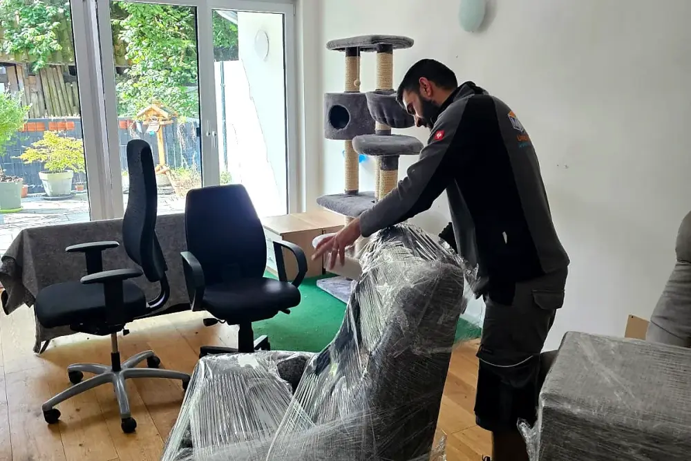Pflanzen umziehen – sicher & stressfrei transportieren